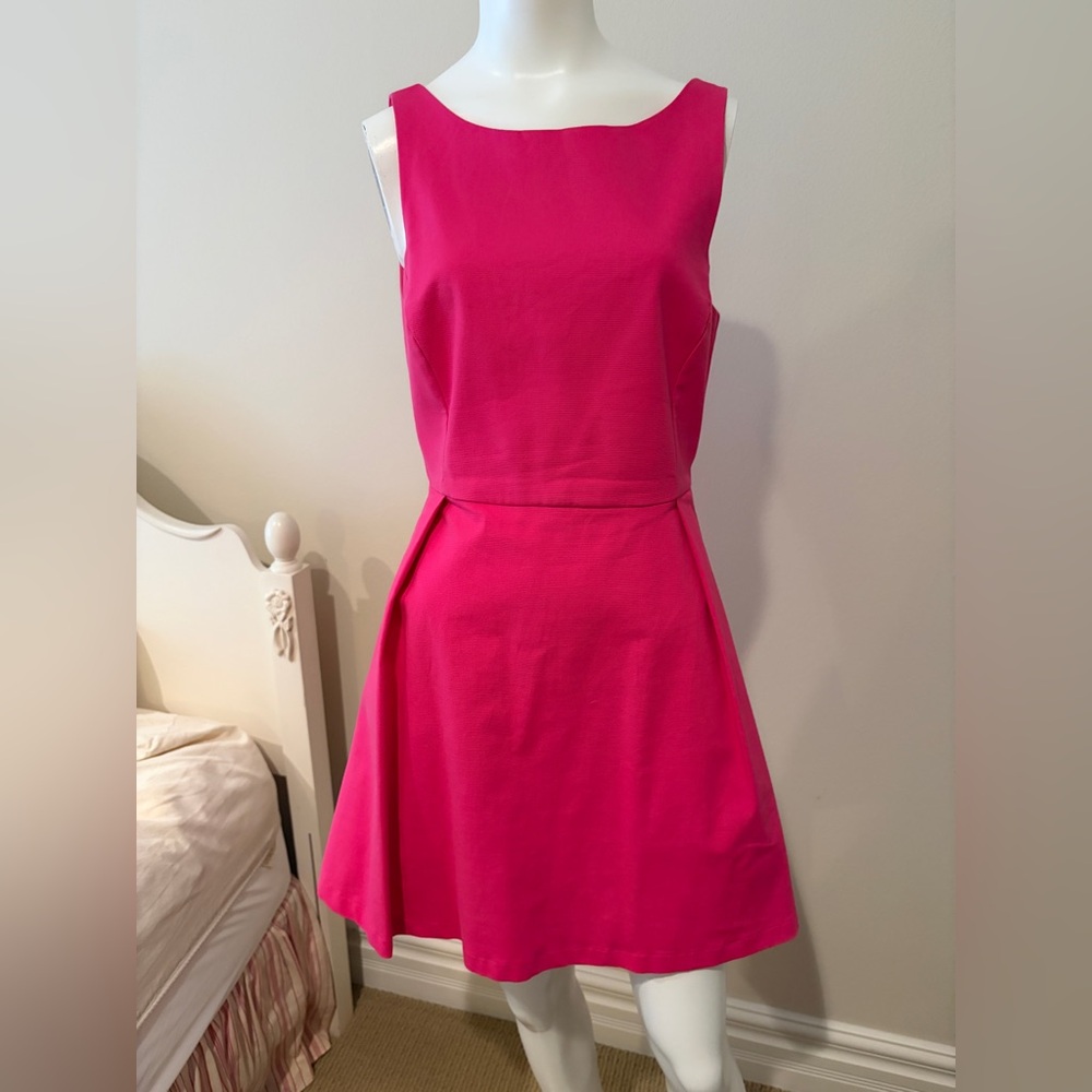 Zara Medium Pink Mini Dress
